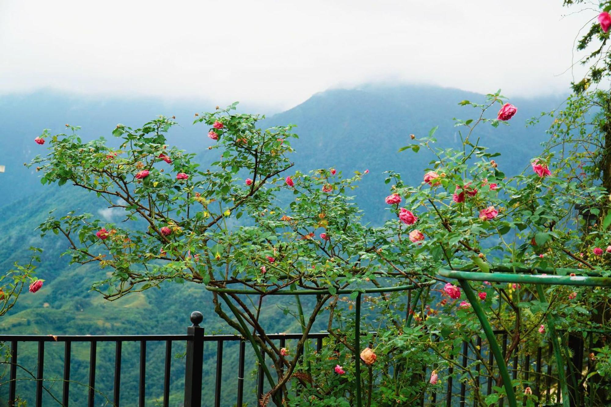 Sapa Highland Resort & Spa Kültér fotó